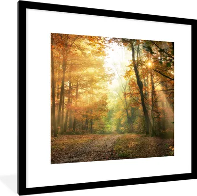 Produktbild von MuchoWow® Gerahmtes Poster Wald - Herbst - Sonne - Landschaft - Natur - Bäume - Laub 40x40 cm - Poster mit Schwarzem Bilderrahmen Wandposter Rahmen Foto Bilder - Poster - Plakat im Rahmen