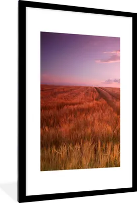 Produktbild von MuchoWow® Gerahmtes Poster Wiese - Sonne - Abend - Landschaft 60x90 cm - Poster mit Schwarzem Bilderrahmen Wandposter Rahmen Foto Bilder - Dekoration - Wandposter Wohnzimmer - Hochwertig