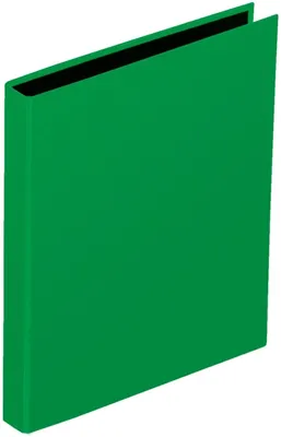 Produktbild von Ringbuch A4 20mm 2 Ringe grün Packung mit 12 Stück