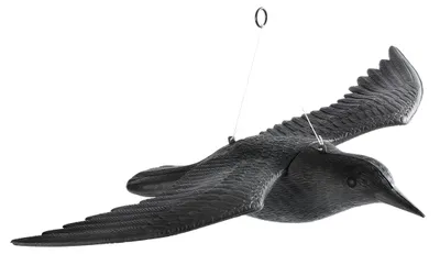 Produktbild von GARDIGO Taubenschreck - Fliegender Rabe, Vogelabwehr aus Kunststoff