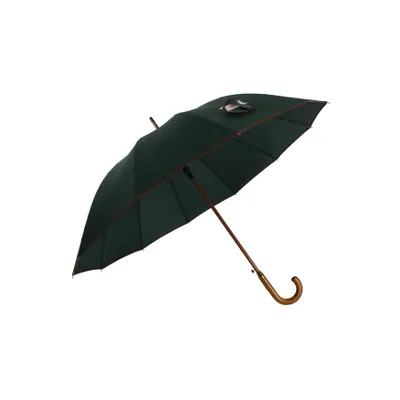 Produktbild von Stockregenschirm Stockschirm Regenschirm Holzgriff mit Fiberglasstange 116 cm ? Grün