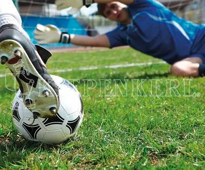 Immagine prodotto di Kiepenkerl RSM 3.2 Rigenerazione professionale del prato sportivo senza Poa pratensis 10 kg