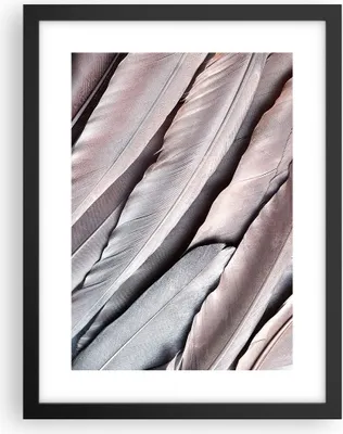 Produktbild von Gerahmtes Poster - Schwarzer Rahmen - Federn Flügel Feder - 30x40 cm - Wand Bild - Wanddeko - Wandbilder - Kunstposter - Wandposter - Bilderrahmen - Bilder - Kunstdruck - P2BPA30x40-5114