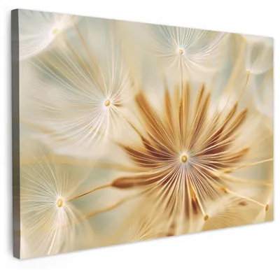 Obrázek produktu pro Plátno, obraz 120x80 cm - Dekorace na zeď do obývacího pokoje - Abstraktní - Příroda - Pampeliška - Vysoká kvalita