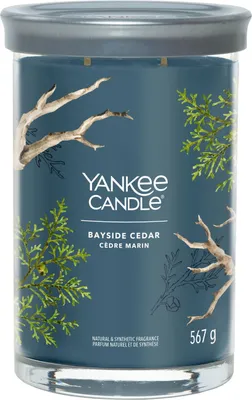Produktbild von Yankee Candle Signature, Zylinder, Blau, Bernstein, Grapefruit, Mandarine, 100 h, 1 Stück(e)