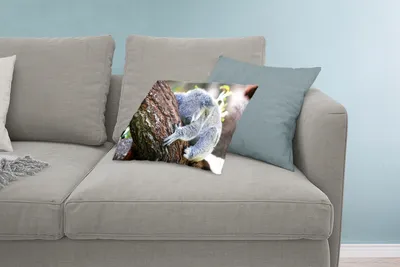 Produktbild von MuchoWow® Zierkissen Sofakissen Wohnzimmer Dekokissen 60x40 cm Koala - Baum - Schlaf - Kinder - Jungen - Mädchen - Kopfkissen - Polster mit Foto
