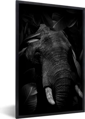 Produktbild von MuchoWow® Gerahmtes Poster Botanischer Elefant mit Blättern auf schwarzem Hintergrund - schwarz und weiß 20x30 cm - Poster mit Schwarzem Bilderrahmen Wandposter Rahmen Foto Bilder - Drucken - Bilder Poster im Rahmen