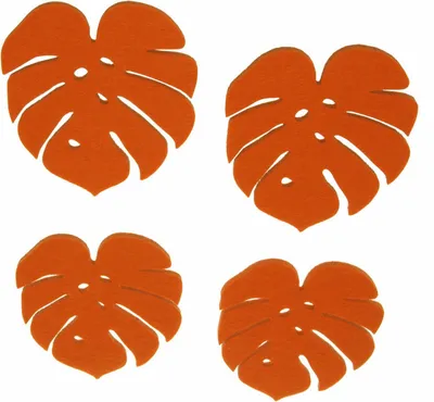 Produktbild von Glasuntersetzer - Monsterablatt - Orange - 12 Stück - 21057-15