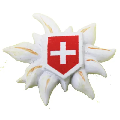 Obrázok produktu pre Magnetka na chladničku v dizajne edelweiss so švajčiarskou vlajkou 3 cm x 4 cm