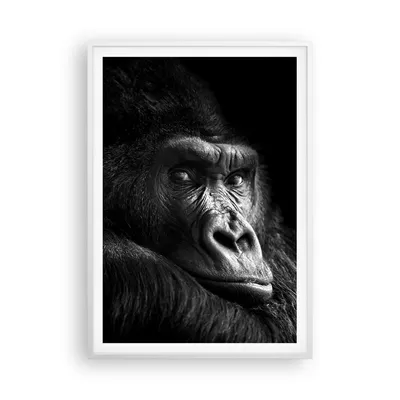 Produktbild von Gerahmtes Poster - Weißer Rahmen - Affe Gorilla Porträt - 70x100 cm - Wand Bild - Wanddeko - Wandbilder - Kunstposter - Wandposter - Bilderrahmen - Bilder - Kunstdruck - P2WPA70x100-5007