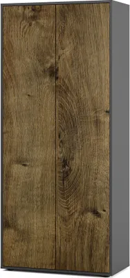 Produktbild von SIMPLYFURN Büroschrank Amira T00, geschlossener Schrank mit 2 großen Türen, Anthrazit & Eiche Ribbeck, Push-to-Open, 180x80x40 cm, Aktenschrank für Büro und Homeoffice