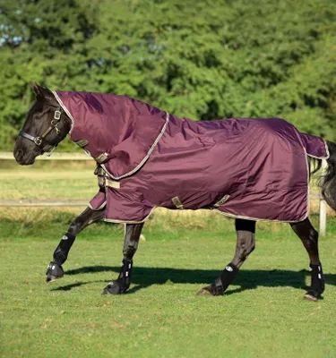 Obrázok produktu pre Horseware Amigo Hero 600D Ripstop Plus Lite 0g Turnout Blanket nepremokavá Fig/Navy&Tan HW 20, veľkosť:5'6