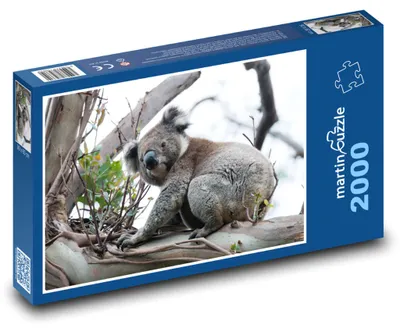 Obrázok produktu pre martinpuzzle – Puzzle 2000 – Koala