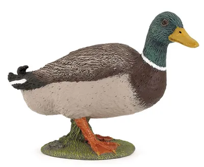 Produktbild von Papo Stockente, 3 Jahr(e), Farmyard friends, Mehrfarbig, PVC