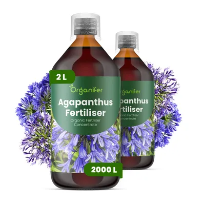 Produktbild von Agapanthus Flüssigdünger 2x1L – 2-1-8 NPK – Flüssigdünger Für Blühpflanzen – Für Üppige Blüten & Blätter – Organifer