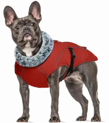 Immagine prodotto di Cappotto invernale per cani di taglia media, impermeabile e caldo, colore rosso, taglia M