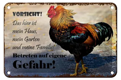 Produktbild von Blechschild Hinweis 18x12cm Huhn Vorsicht das mein Haus