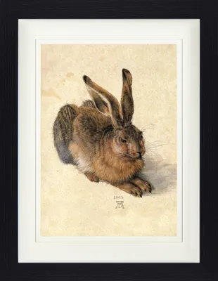 Produktbild von Albrecht Dürer Gerahmtes Bild Mit Edlem Passepartout | Wand-Bilder | Im Bilderrahmen - Junger Feldhase, 1502 (40 x 30 cm)