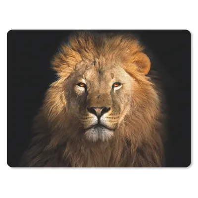 Produktbild von MuchoWow® Mauspad Mousepad Löwe - Tiere - Schwarz - Hell - Braun - Porträt 23x19 cm - Mousepads - Maus Mat - Pad - Mausunterlage - Schreibtischunterlage - Mauspad