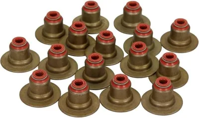 Produktbild von REINZ Dichtungssatz Ventilschaft 12-34439-01