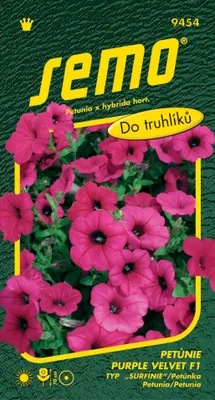 Obrázek produktu pro Semena Petunie převislé - Purple Velvet F1 (Surfinia type) 10p