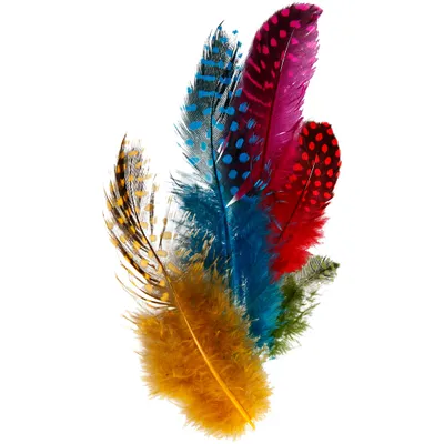 Produktbild von Creativ Company Perlhuhnfedern, ca. 100 Stück, verschiedene Farben, 3 g 1 Box