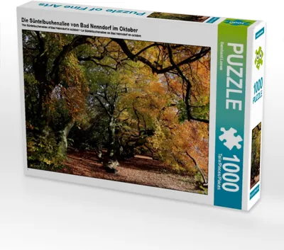 Produktbild von Calvendo Die Süntelbuchenallee von Bad Nenndorf im Oktober 1000 Teile Puzzle quer 640x480mm, Loewa Bernhard; 7327699