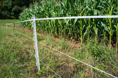 Produktbild von horizont Kunststoffpfahl mit Metallspitze – UV-stabilisiert, 105 cm hoch, Einzelspitze, 20 Stück, weiß