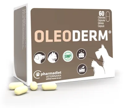 Produktbild von Oleoderm Nahrungsergänzungsmittel 60 Kapseln
