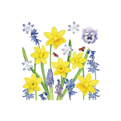 Produktbild von RP 20 Servietten Narcissus Love - Liebevolle Frühlingswiese 33x33cm
