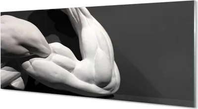 Produktbild von Glasbilder 125x50 Wandkunst Muscle schwarz und weiß