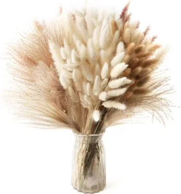 Produktbild von 185 Stück Getrocknetes Pampasgras - Natürliche Dekoration für Boho Blumenarrangements, Tisch- und Wohnraumdekoration