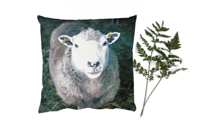 Produktbild von MuchoWow® Zierkissen Sofakissen Wohnzimmer Dekokissen 45x45 cm Schafe - Tiere - Rinder - Schlafpolster - Polster für das Sofa