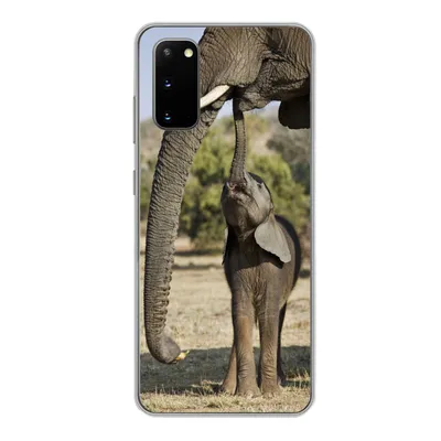 Produktbild von MuchoWow® Handyhülle Schutzhülle Hülle für Samsung Galaxy S20 Elefant - Tiere - Gras - Natur Silikon Softcase Handy Hülle - Bild