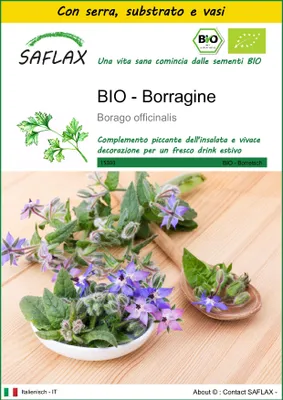 Immagine prodotto di SAFLAX Insieme di coltivazione -- Borragine  - 40 semi - Borago