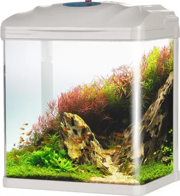 Immagine prodotto di SunSun HR-230 - Set acquario 7l SunSun