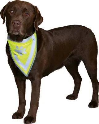 Produktbild von Trixie Hunde Sicherheits-Halstuch L - XL: 43 - 60 cm