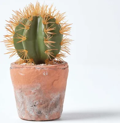Obrázek produktu pro HOMESCAPES Malý umělý kaktus s oranžovými trny v terakotovém květináči, výška 15 cm