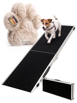 kleiner Hund auf Rampe