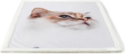 Produktbild von AniOne Cat Blanket realistic print catface