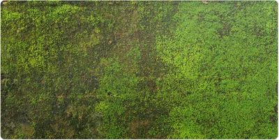 Produktbild von Moos Auf Der Oberfläche– Schreibtischunterlage – Schreibtisch Tischunterlage – 90x45 cm – Unterlage Groß Schreibtischmatte