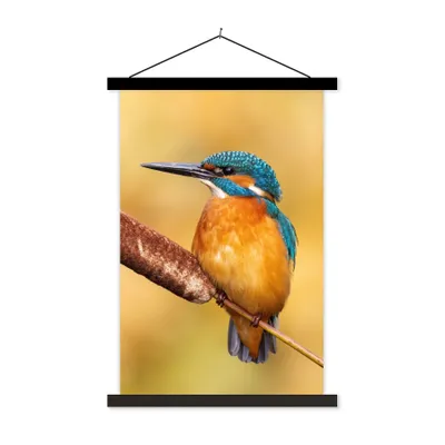 Produktbild von MuchoWow® Textilposter Eisvogel - Natur - Vogel 120x180 cm mit schwarzem Rahmen - Fotos