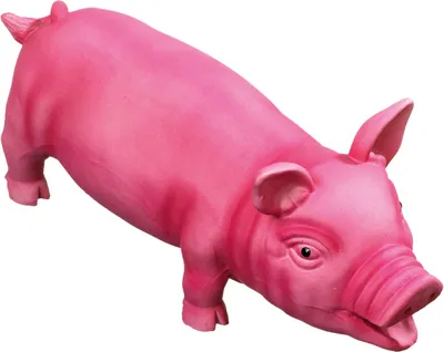 Obrázek produktu pro Latexová prasátko, růžová, 33 cm, hračka pro psy