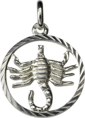 Produktbild von F Anhänger 925/- Sterling Silber 2,1cm weiß 371240541SK