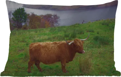 Produktbild von MuchoWow® Outdoor Kissen - Schottische Hochlandrind - Gras - Wasser - Tiere - 60x40 cm - Wetterfest - Lounge Kissen - Zierkissen - Kissen für Innenräume