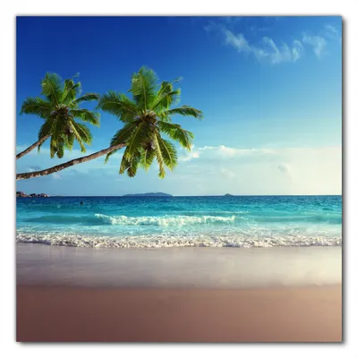 Produktbild von Wallario selbstklebende Möbelfolie/ Tischdecke für Innen und Außen, Größe: 60 x 60 cm - Sandstrand auf den Seychellen - Urlaub unter Palmen