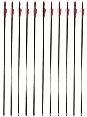 Produktbild von Glasfaser Pfeile Bogenschießen - 12 Stück Trainingspfeile - 74 cm Schaft - Stahlspitze - Kunststofffedern - Für Recurve- und Compoundbogen - Jagd
