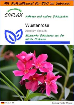 Produktbild von SAFLAX - Garden in the Bag - Sukkulenten - Wüstenrose - 8 Samen - Mit Anzuchtsubstrat im praktischen, selbst aufstellenden Beutel - Adenium obesum