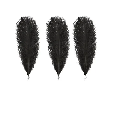 Produktbild von 3 Schwarze Straußenfedern, 30-35 cm, für Dekorationen und Bastelprojekte