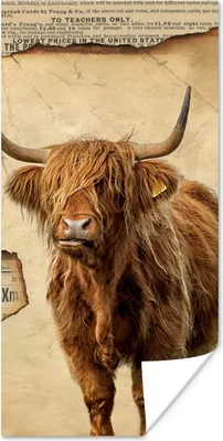 Produktbild von MuchoWow® Poster Schottischer Highlander - Retro - Zeitungsartikel 20x40 cm - Plakat - Foto